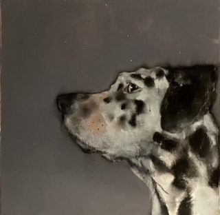 Spottie Dog by Heidi Wickham: Irish Art by Greenlane Gallery Dingle