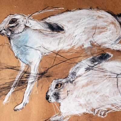 Snow Hares by Margo Banks: Irish Art by Greenlane Gallery Dingle