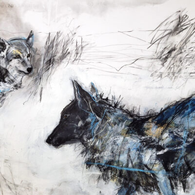 Wolf Family by Margo Banks: Irish Art by Greenlane Gallery Dingle